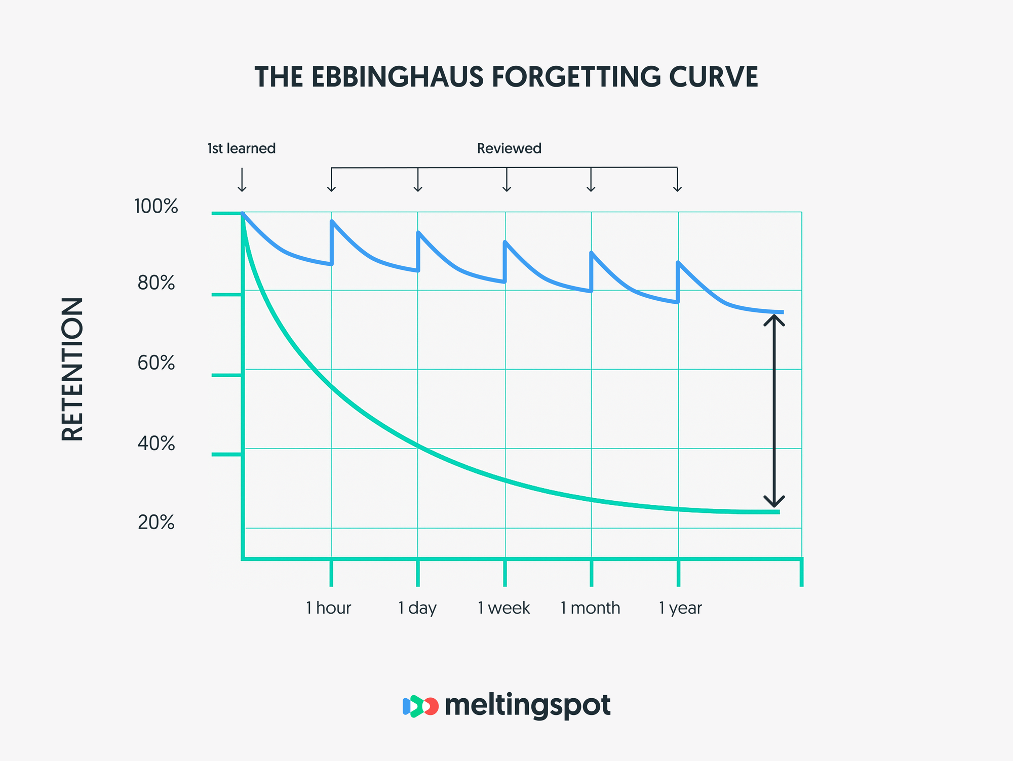 ebbinghaus forgetting curve